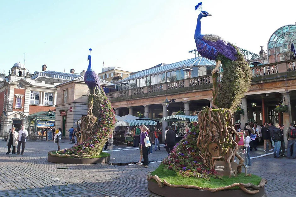 Instalație florală publică în forma unui păun